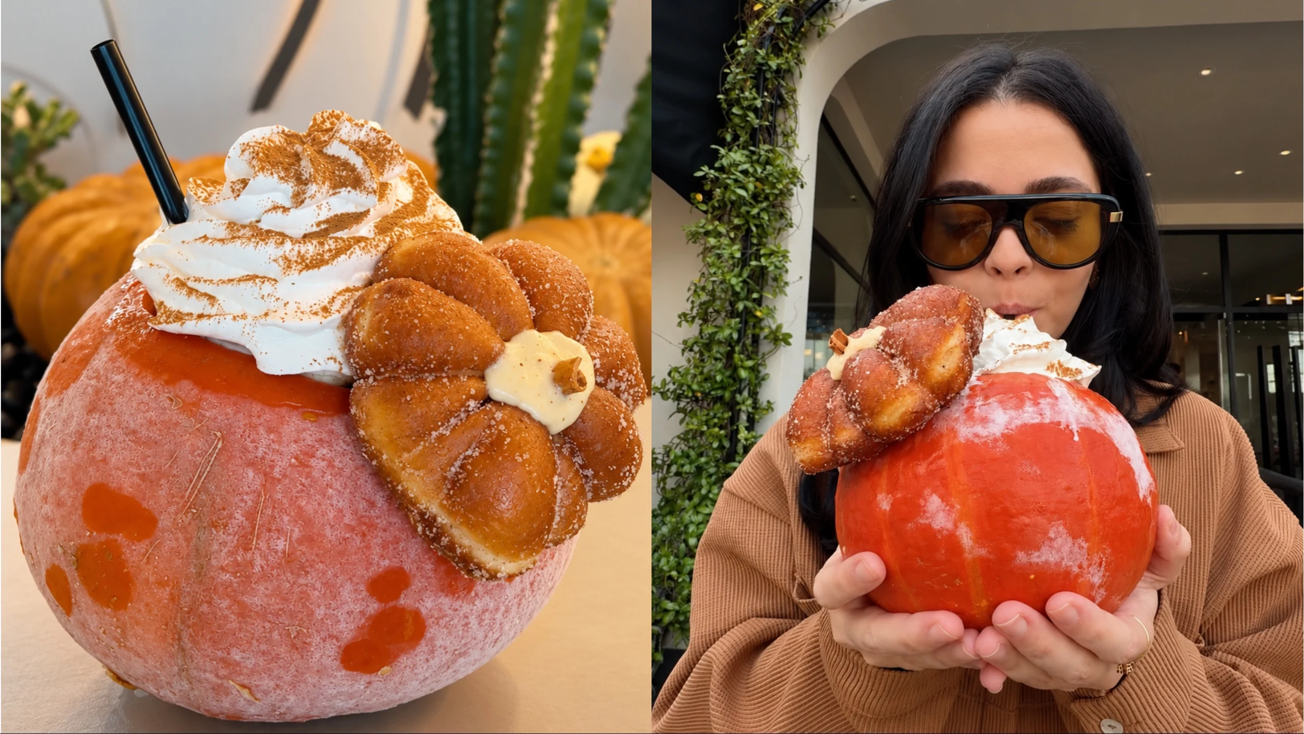 Seasonal Delight