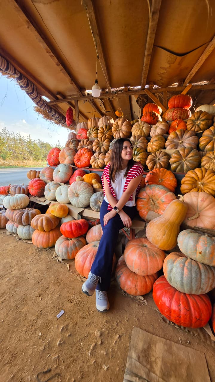 The Ultimate Autumn Day Escape: 4 Stops in 1 Tour (Sawfar, Taanayel, West Bekaa & Falougha)